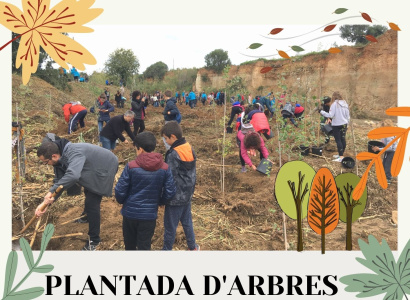 Plantada d'arbres a la Riera de la Boella