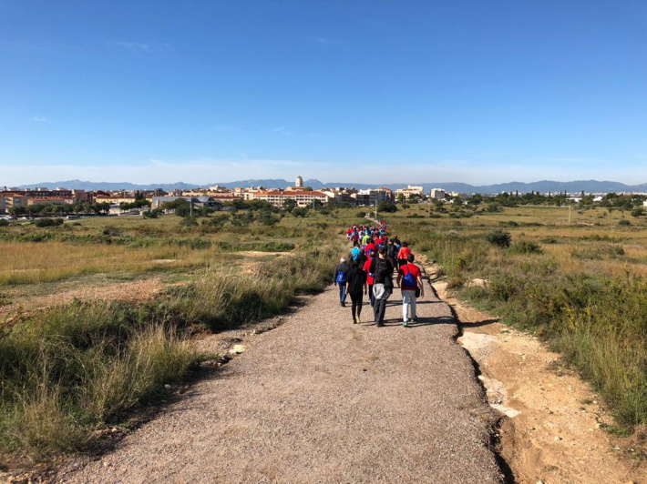 ECOVERD: Caminada nocturna per l'Anella Verda