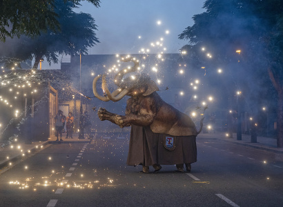 Correfoc de bèsties