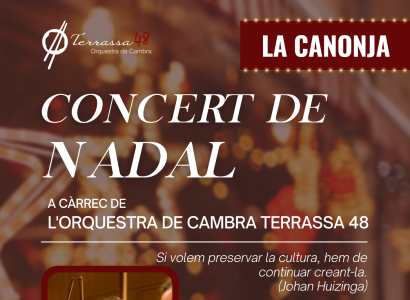 Concert de Nadal amb l'Orquestra de Cambra Terrassa 48