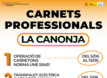 Curs: Operador/a de carretons (Norma UNE-58451)+ Transpalet elèctric o apilador, manual i de conductor a bord