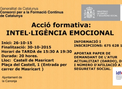 Curs: Intel·ligència emocional