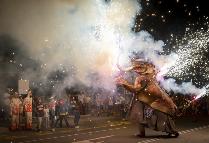 FME: Correfoc de bèsties