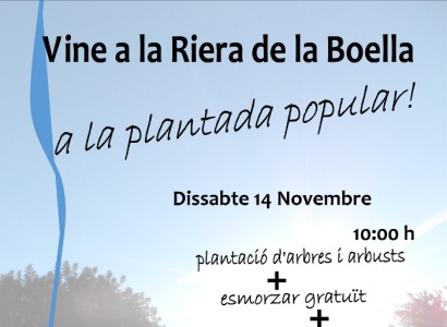 Plantada popular a la Riera de la Boella