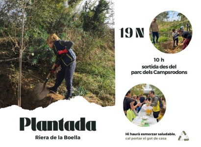 Plantada d'arbres a la Riera de la Boella