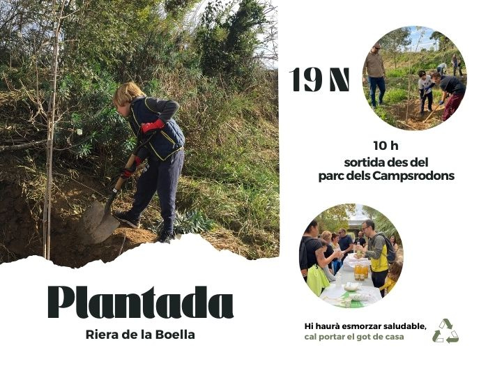 Plantada d'arbres a la Riera de la Boella