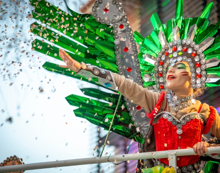 Magnífica rua de Carnaval