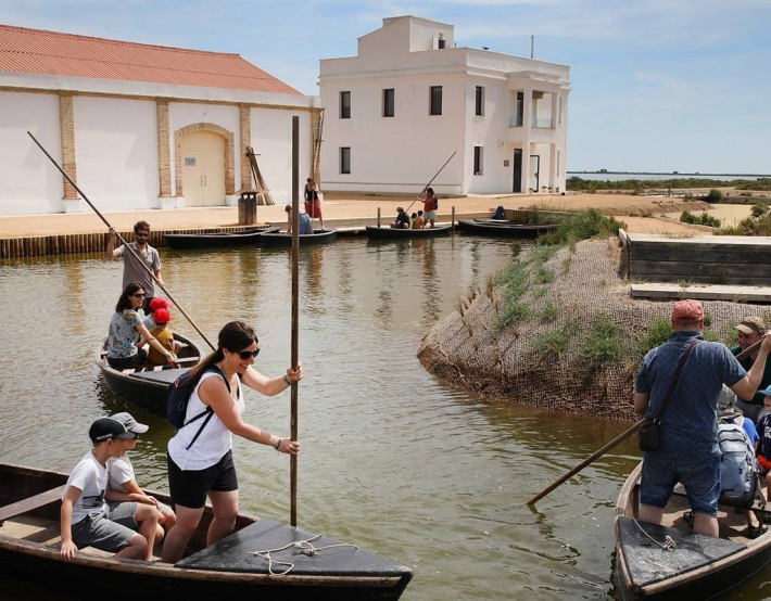 ECOVERD: Sortida al Delta de l'Ebre
