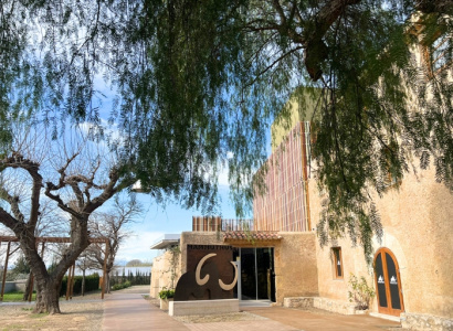 Portes obertes a l'Espai Mammuthus