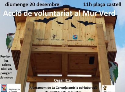 Acció de voluntariat al Mur Verd