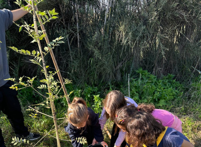 Plantada popular a la riera de la Boella
