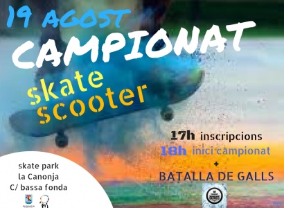 Campionat d'Skate i Scooter 2017