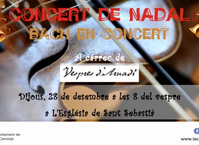 Concert de Nadal