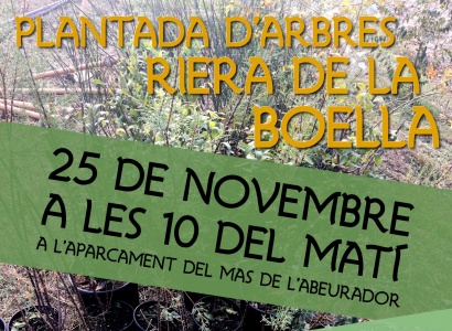 Plantada d'arbres a la Riera de la Boella