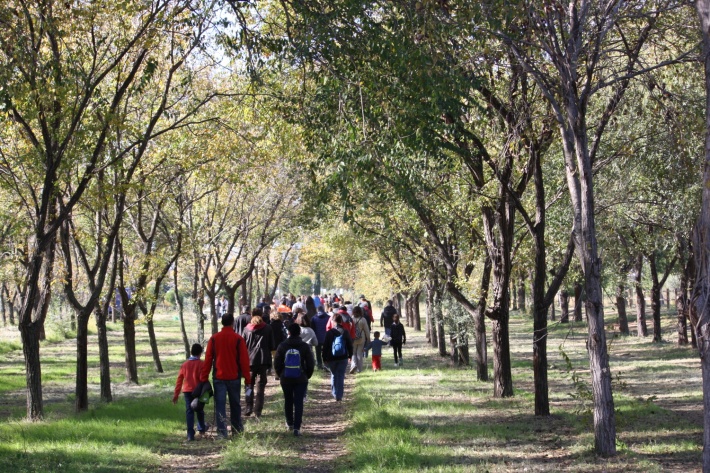 ECOVERD: Descobrim el Mur Verd 2.0