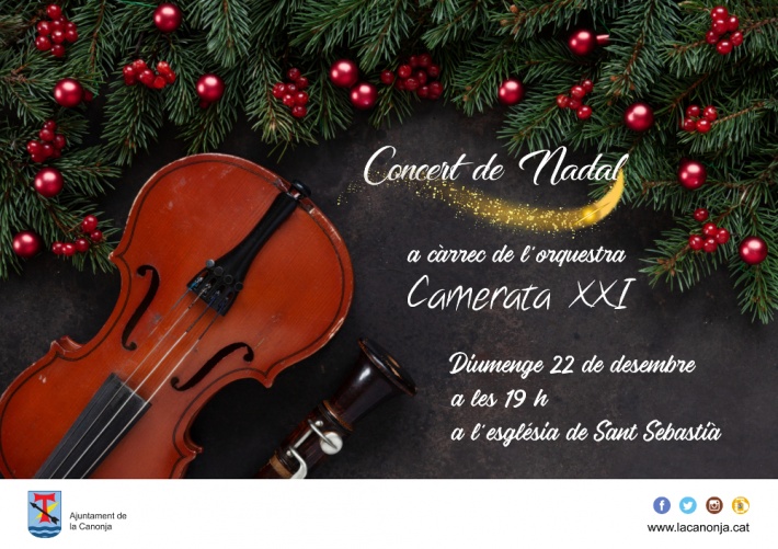 Concert de Nadal amb l'orquestra Camerata XXI
