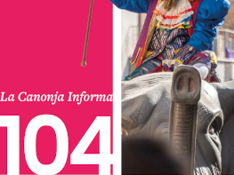 Revista Municipal