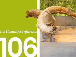 Revista Municipal