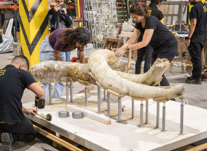 L’Espai MAMMUTHUS de la Canonja cobra vida amb l’arribada de les troballes