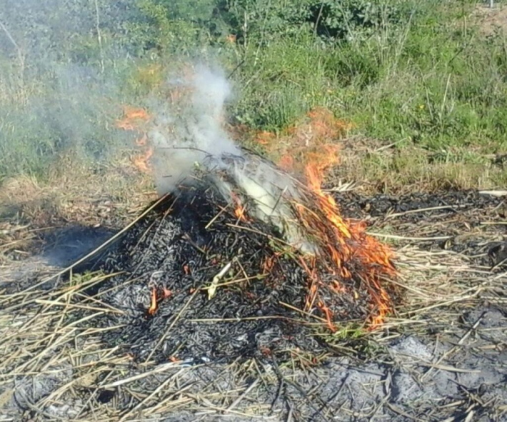 El període de comunicacions d’activitats amb risc d’incendi forestal s’obre el 16 d’octubre