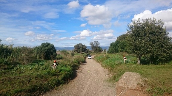 Control poblacional del tudó i de colom roquer els dies 20 i 27 d’agost i 3 i 10 de setembre de 2017 al Barranc de la Boella