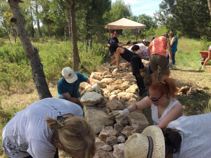 La Canonja celebra el Dia Mundial del Medi Ambient amb la tercera edició d’Ecoverd