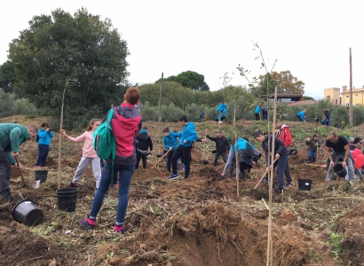 Els canongins planten un centenar d’arbres a la Riera de la Boella