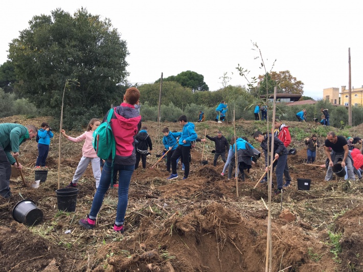 Els canongins planten un centenar d’arbres a la Riera de la Boella