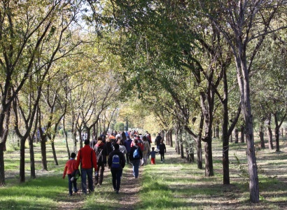 El 30 de maig comencen les jornades de l'ECOVERD a la Canonja