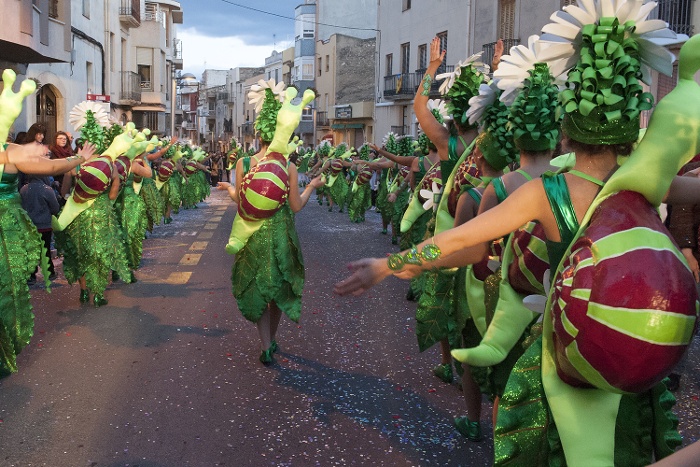 Enhorabona a tots els participants del Carnaval!