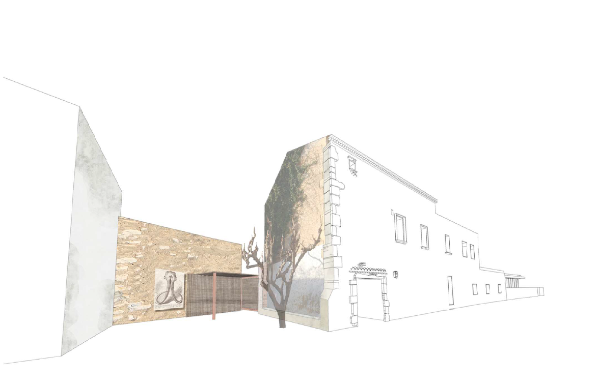La Canonja aprova la segona fase del projecte de condicionament del Mas de l’Abeurador com a Centre d’Interpretació Arqueològica del Jaciment de la Boella
