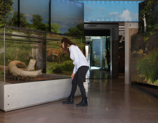 L’Espai Mammuthus celebra el Dia Internacional dels Museus amb una jornada de portes obertes